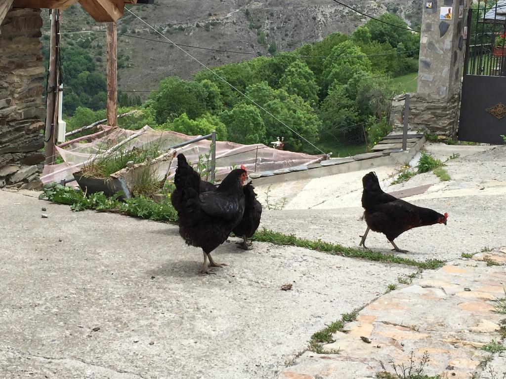Lo Paller De Roc Montescladó Exterior foto